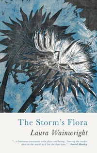Enlarge image Cover: The Storm's Flora - Seren