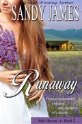 Cover: Runaway (Safe Havens 2) - Sandy James