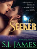 Cover: The Seeker - Sandy James