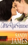 Cover: All the Right Reasons (Damaged Heroes, #1) - Sandy James