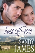 Cover: Twist of Fate (Damaged Heroes, #5) - Sandy James