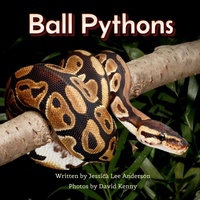 Enlarge image Cover: Ball Pythons - AO Press