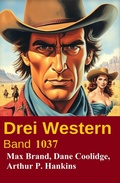 Cover: Drei Western Band 1037 - Uksak E-Books