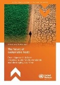 Cover: The Future of Sustainable Trade - Due Diligence Initiatives, Voluntary Sustainability Standards and Developing Countries - United Nations