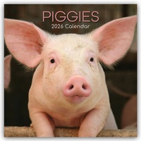 Abbildung von: Piggies - Ferkel Schweine 2026 - 16-Monatskalender - Brown Trout-Auslieferer Flechsig