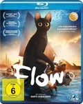 Cover: Flow - MFA