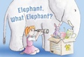 Cover: Elephant, What Elephant? - Troubador Publishing