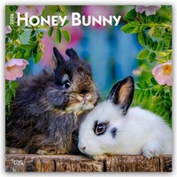 Abbildung von: Honey Bunny - Süße Häschen 2026 - 16-Monatskalender - Browntrout Publishers