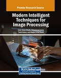 Cover: Modern Intelligent Techniques for Image Processing - Information Science Publishing