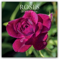 Abbildung von: Roses - Rosen 2026 - 16-Monatskalender - Brown Trout-Auslieferer Flechsig