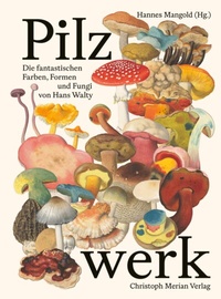 Abbildung von: Pilzwerk - Christoph Merian Verlag