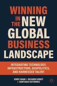 Abbildung von: Winning in the New Global Business Landscape - Palgrave Macmillan