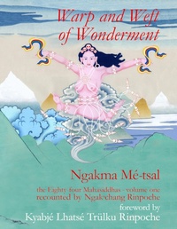 Abbildung von: Warp and Weft of Wonderment, Volume 1 - Aro Books worldwide
