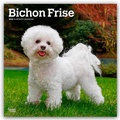 Cover: Bichon Fris&eacute; 2026 - 16-Monatskalender - Brown Trout-Auslieferer Flechsig