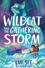 Cover: The Wildcat and the Gathering Storm - Macmillan Children's Books