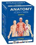 Cover: Anatomy Flash Cards (300 Cards) - Barcharts, Inc