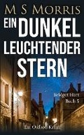 Cover: Ein dunkel leuchtender Stern - Landmark Media