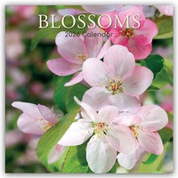 Abbildung von: Blossoms - Blüten 2026 - 16-Monatskalender - Brown Trout-Auslieferer Flechsig