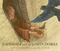 Cover: Caoimhin agus na Lonta Dubha - Futa Fata
