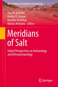 Enlarge image Cover: Meridians of Salt - Springer