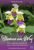 Bild: Blumen am Weg - Leykam