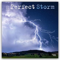 Abbildung von: A Perfect Storm - Orkane - Tornados - Stürme - Unwetter 2026 - 16-Monatskalender - Brown Trout-Auslieferer Flechsig