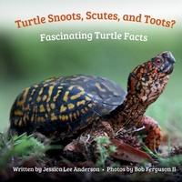 Enlarge image Cover: Turtle Snoots, Scutes, and Toots? Fascinating Turtle Facts - AO Press