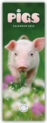 Abbildung von: Pigs - Ferkel - Schweinchen 2026 - Slimline-Kalender - Brown Trout-Auslieferer Flechsig