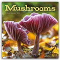 Cover: Mushrooms - Pilze 2026 - Wand-Kalender - Brown Trout-Auslieferer Flechsig