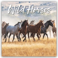 Abbildung von: Wild Horses - Wildpferde 2026 - Wand-Kalender - Brown Trout-Auslieferer Flechsig
