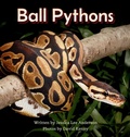 Cover: Ball Pythons - AO Press