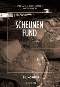 Enlarge image Cover: Scheunenfund - epubli