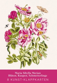 Abbildung von: Maria Sibylla Merian - Acht Kunst-Klappkarten - Favoritenpresse GmbH