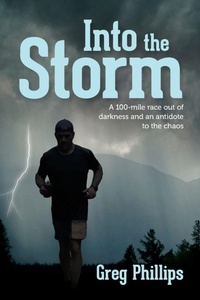 Enlarge image Cover: Into the Storm - Palmetto Publishing