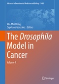 Abbildung von: The Drosophila Model in Cancer - Springer