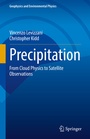 Cover: Precipitation - Springer