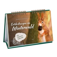 Abbildung von: Entdeckungen im Winterwald - St. Benno