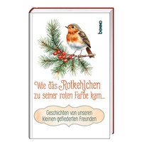 Abbildung von: Wie das Rotkehlchen zu seiner roten Farbe kam - St. Benno