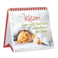 Abbildung von: Katzen liegen nicht faul herum, sie verschönern den Raum - St. Benno