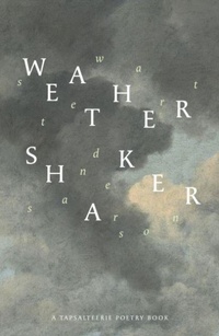 Enlarge image Cover: Weathershaker - Tapsalteerie