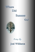 Cover: Where Did Summer Go? - Vabella Publishing