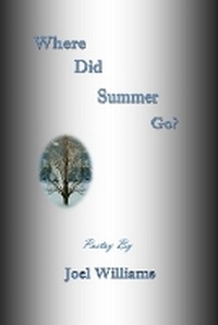 Enlarge image Cover: Where Did Summer Go? - Vabella Publishing