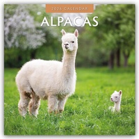 Abbildung von: Alpacas - Alpakas 2026 - 16-Monatskalender - Red Robin Publishing Ltd.