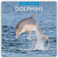 Abbildung von: Dolphins - Delfine 2026 - 16-Monatskalender - Red Robin Publishing Ltd.