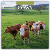 Abbildung von: Cows - Kühe 2026 - 16-Monatskalender - Red Robin Publishing Ltd.