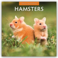 Abbildung von: Hamsters - Hamster 2026 - 16-Monatskalender - Red Robin Publishing Ltd.