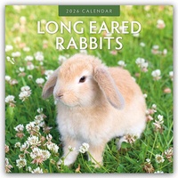 Abbildung von: Long Eared Rabbits - Langohrhasen 2026 - 16-Monatskalender - Red Robin Publishing Ltd.
