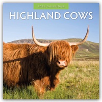 Abbildung von: Highland Cows - Hochland Kühe 2026 - 16-Monatskalender - Red Robin Publishing Ltd.