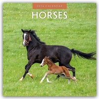 Abbildung von: Horses - Pferde 2026 - 16-Monatskalender - Red Robin Publishing Ltd.