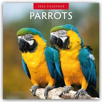 Abbildung von: Parrots - Papageien 2026 - 16-Monatskalender - Red Robin Publishing Ltd.